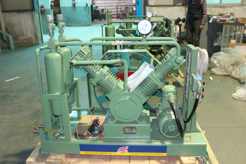 compresor de pist&oacute;n de hidr&oacute;geno alternativo de seguridad para laboratorio (4)